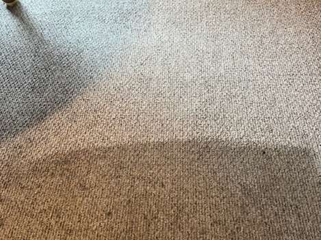 Gallery | Wall To Wall Carpet Cleaning
